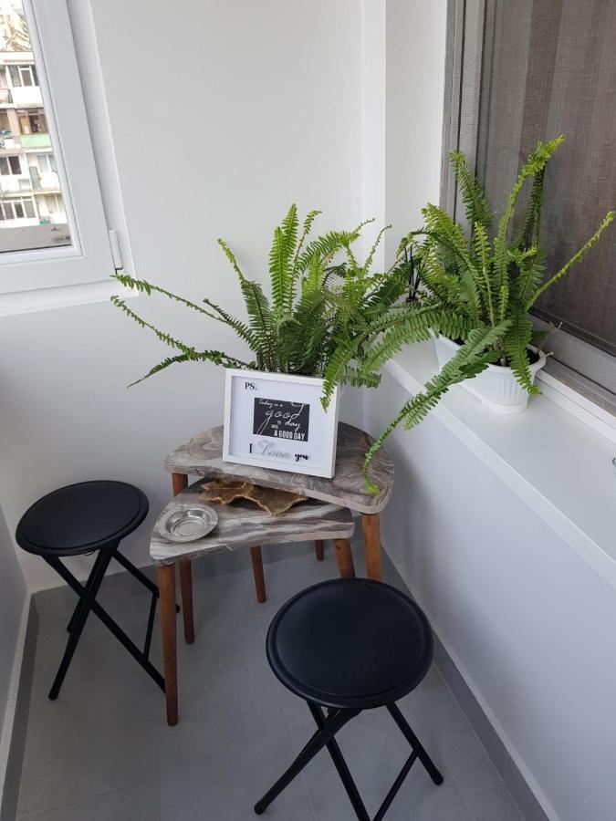Ana Apartament Râmnicu Vâlcea Buitenkant foto