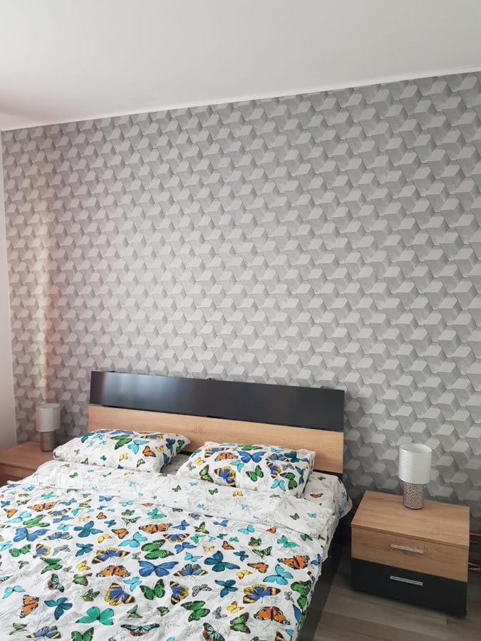 Ana Apartament Râmnicu Vâlcea Buitenkant foto