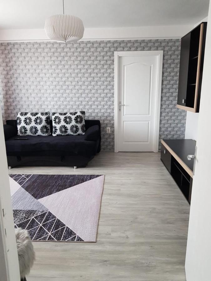 Ana Apartament Râmnicu Vâlcea Buitenkant foto