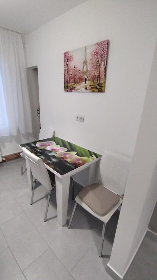 Ana Apartament Râmnicu Vâlcea Buitenkant foto