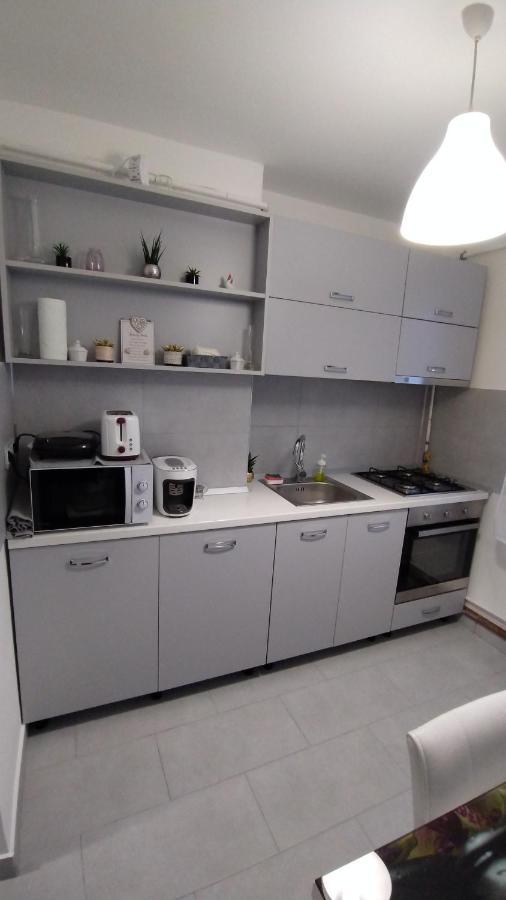 Ana Apartament Râmnicu Vâlcea Buitenkant foto